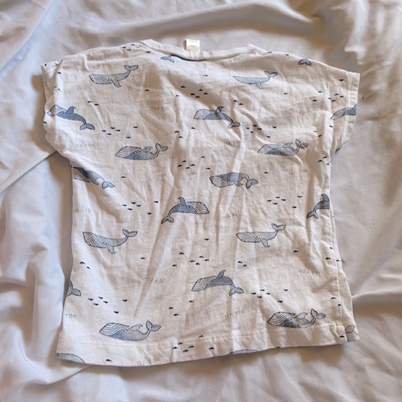 Toddler boys whale shirt- size 24M - Picture 2 of 2